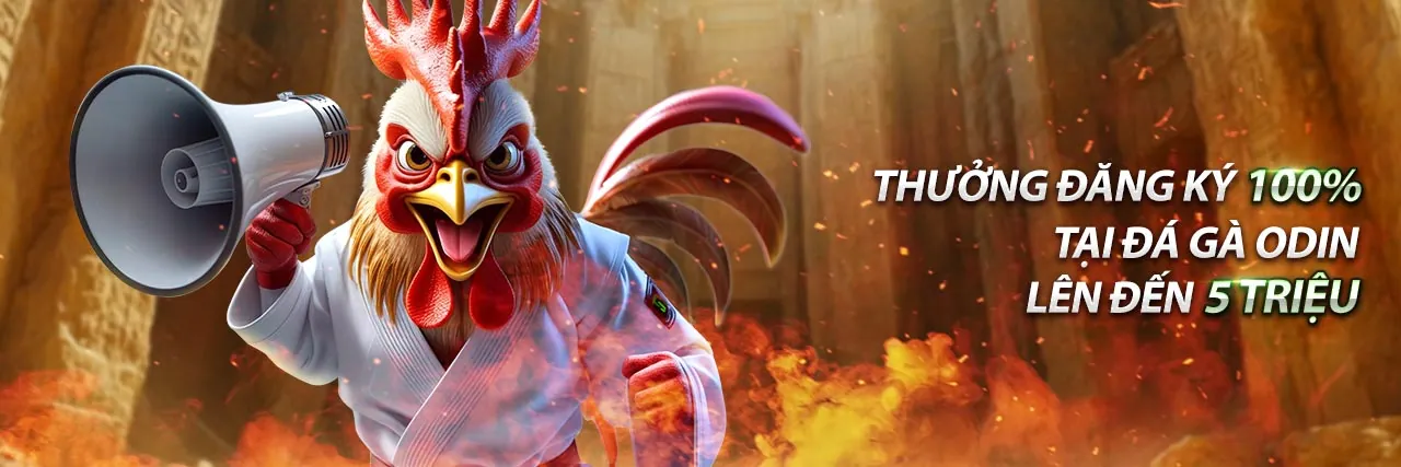 Giới thiệu về thương hiệu vnsoxo, nền tảng cá cược uy tín